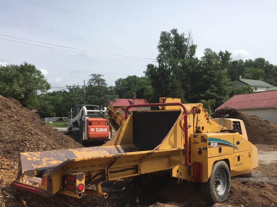 stump grinding