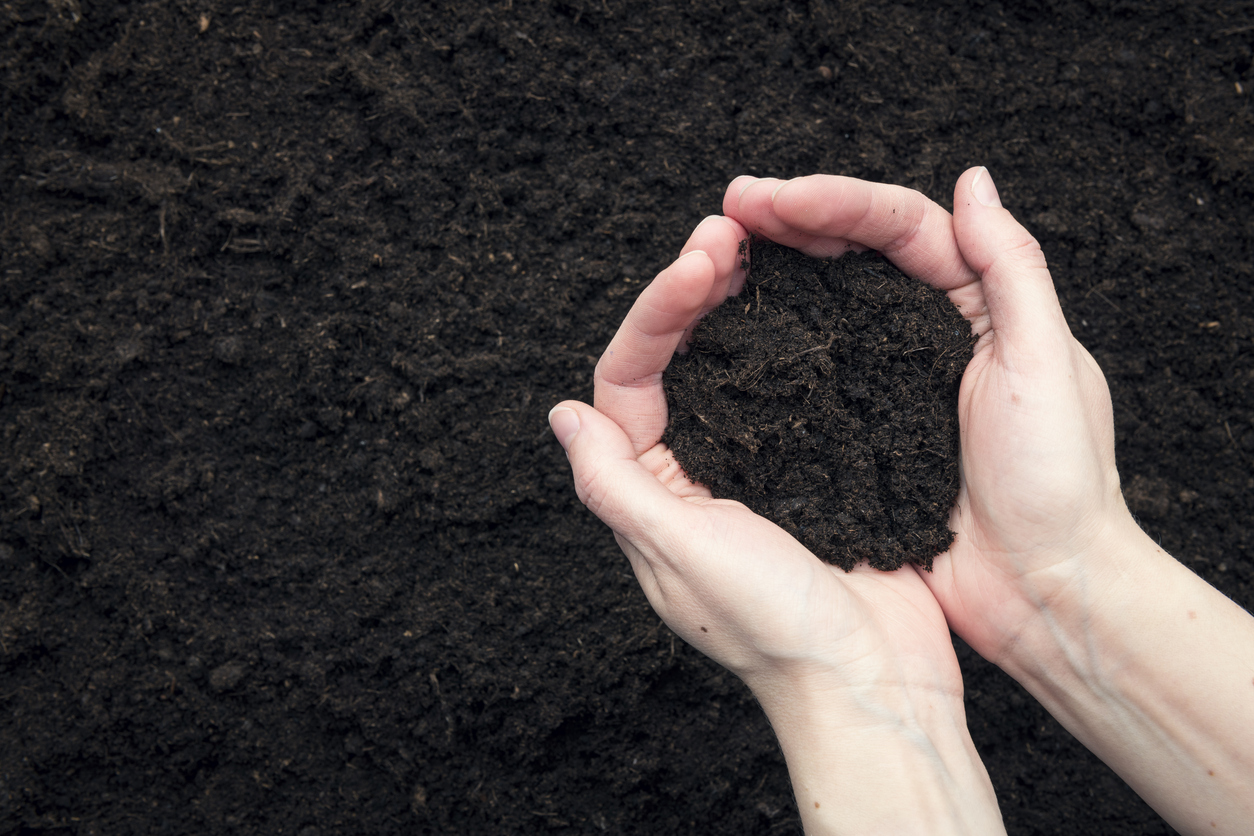 Hands in the Garden holding soil